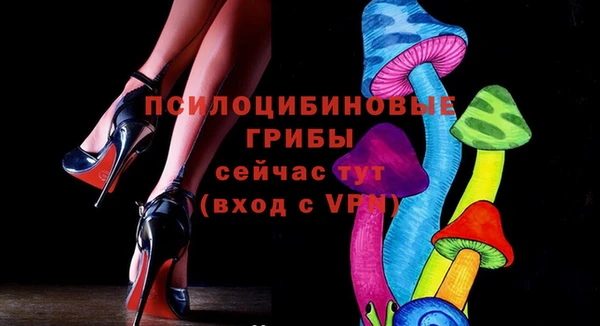 хмурый Дмитриев