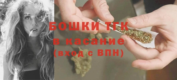 хмурый Дмитриев