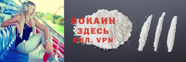 хмурый Дмитриев