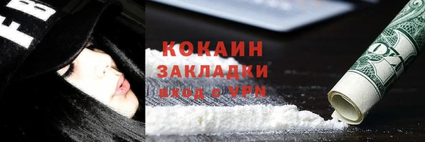 хмурый Дмитриев