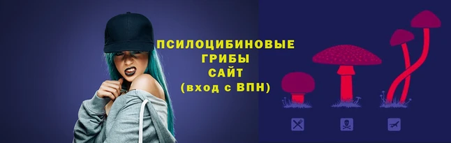 хмурый Дмитриев