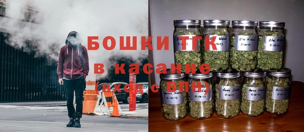 spice Гусиноозёрск