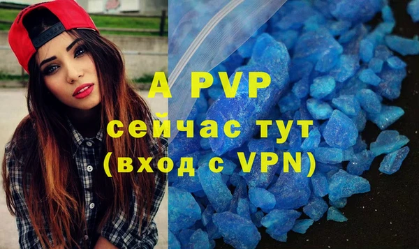 хмурый Дмитриев