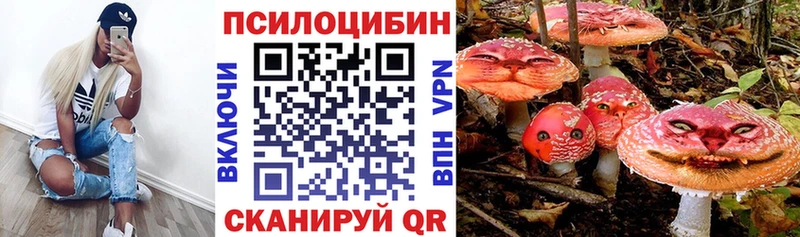 Купить где  Нововоронеж  Псилоцибиновые грибы мицелий 